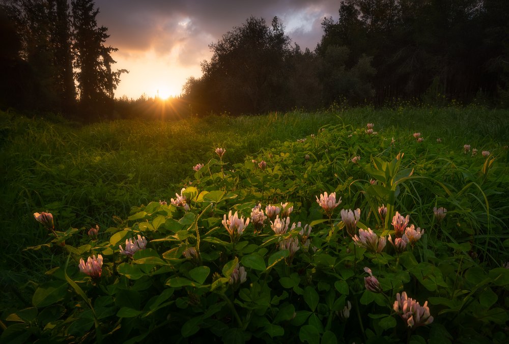 Photograph by Alex Savenok