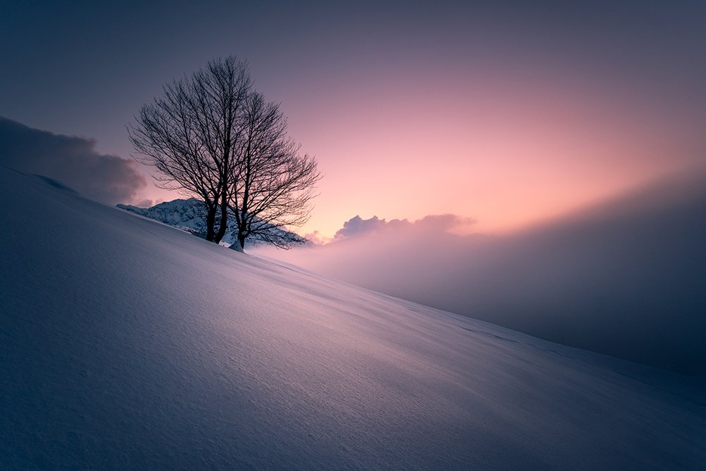 the noise of silence