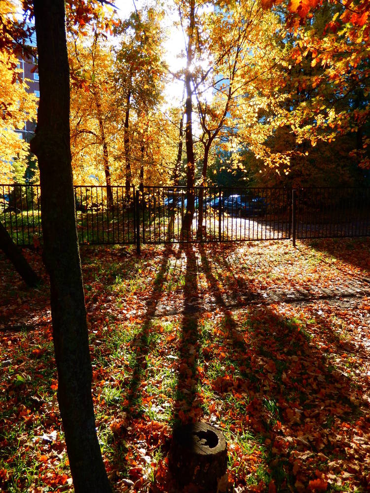 Фотография автора Клавдия Васильева