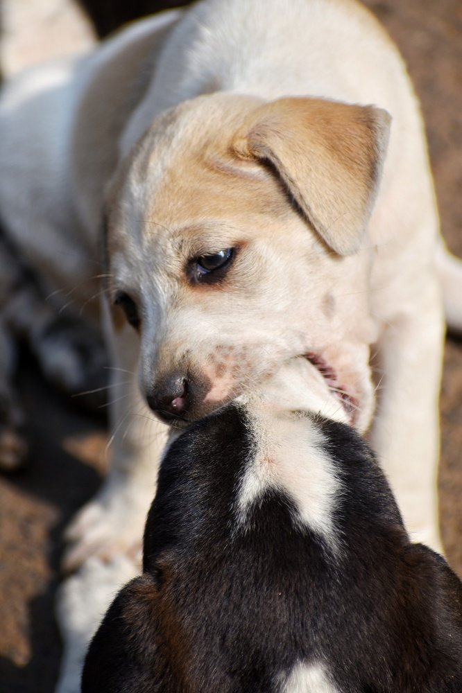 Photograph by Samrick Manna