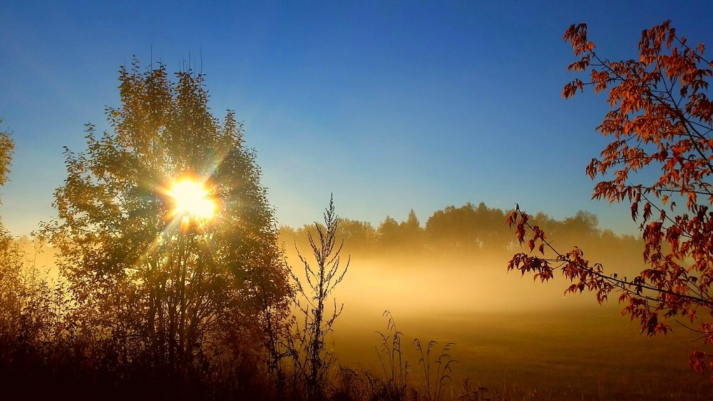 Photograph by Борис Каширин