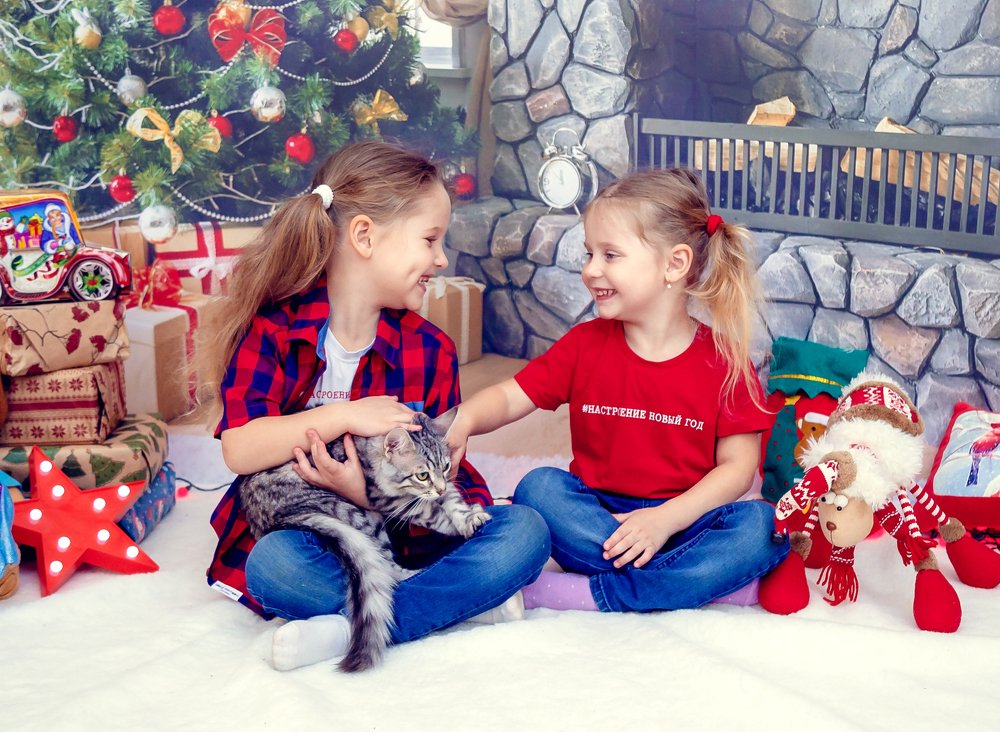 Photograph by Людмила Родина