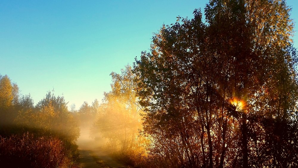 Photograph by Борис Каширин