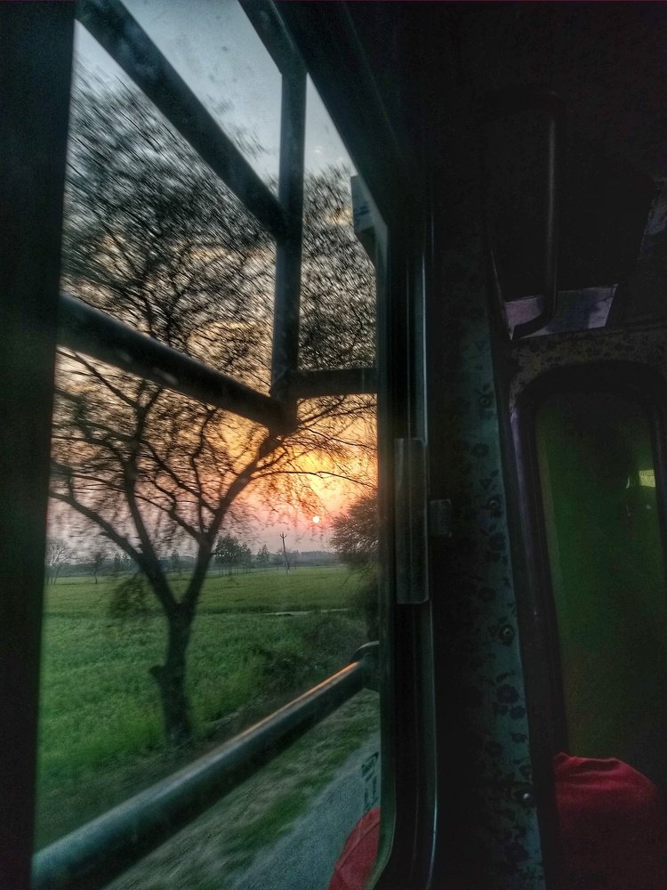Photo #4168104