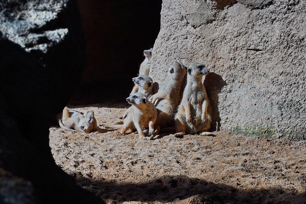 Бдительность не помешает...