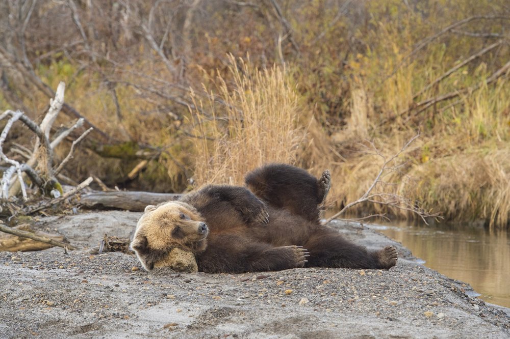 Photograph by Алексей Шаскольский
