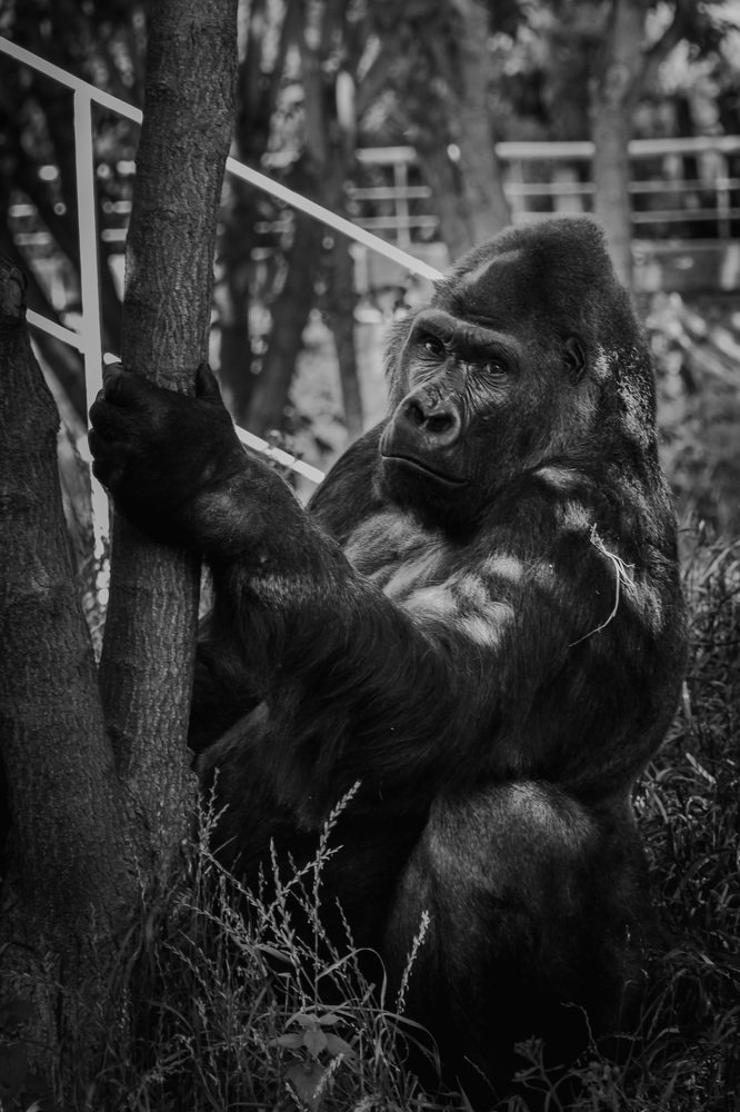 Фотография автора Максим Юрков