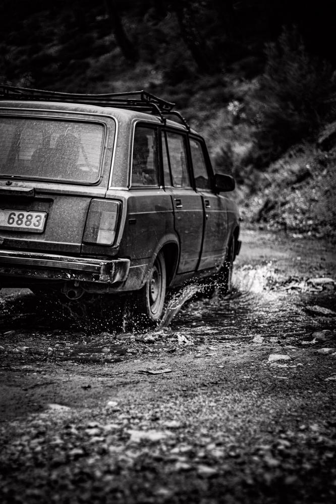 Photograph by Mona B