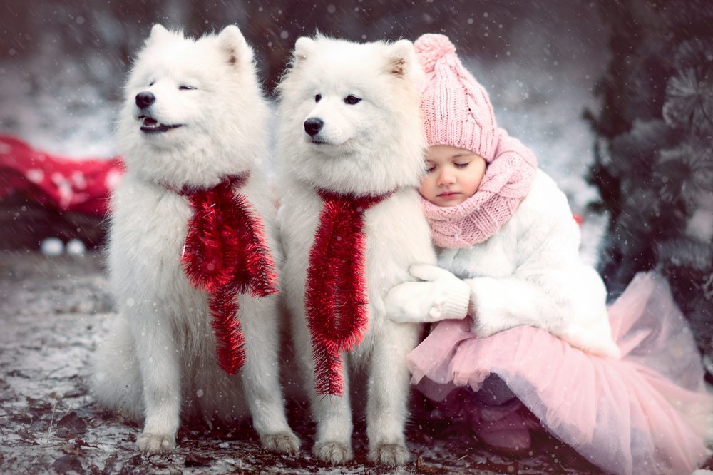 Photograph by Наталья Петренко