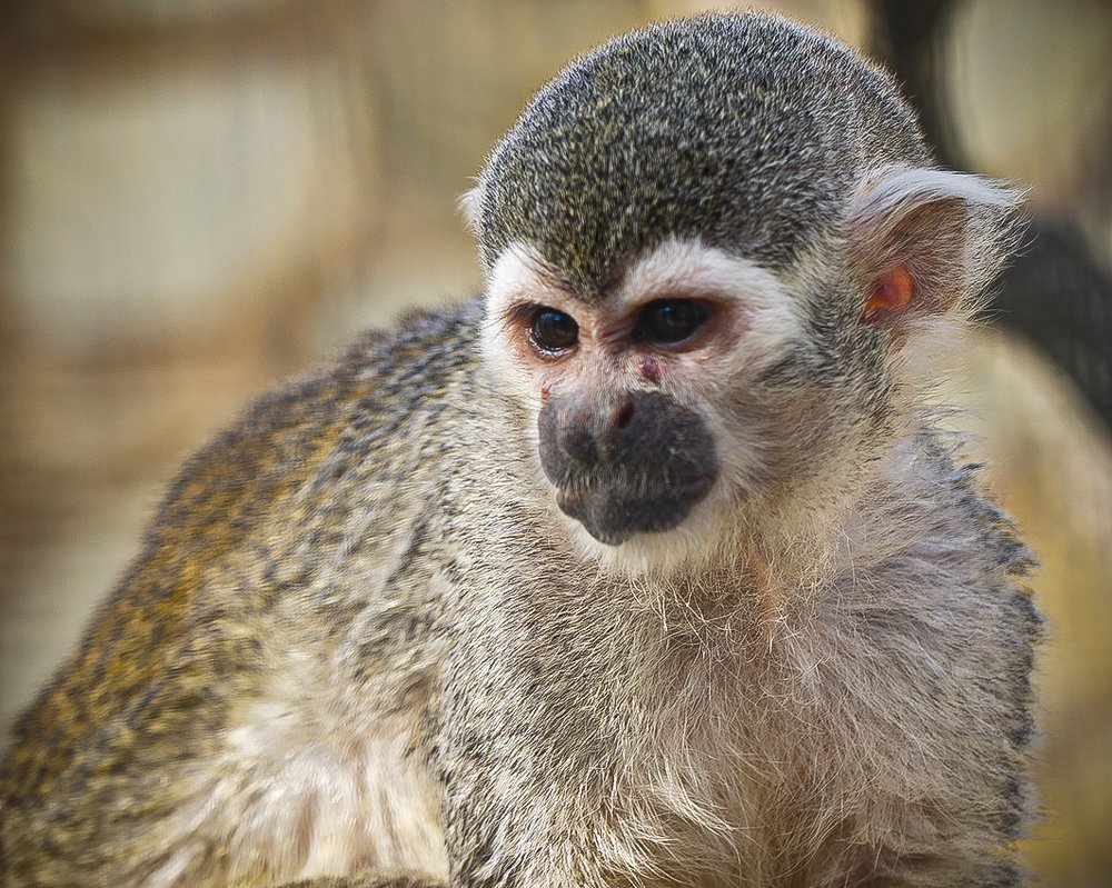 Photograph by Евгений Барзенков