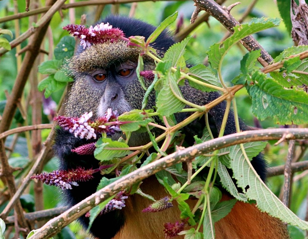 Photograph by Dan Cantlon