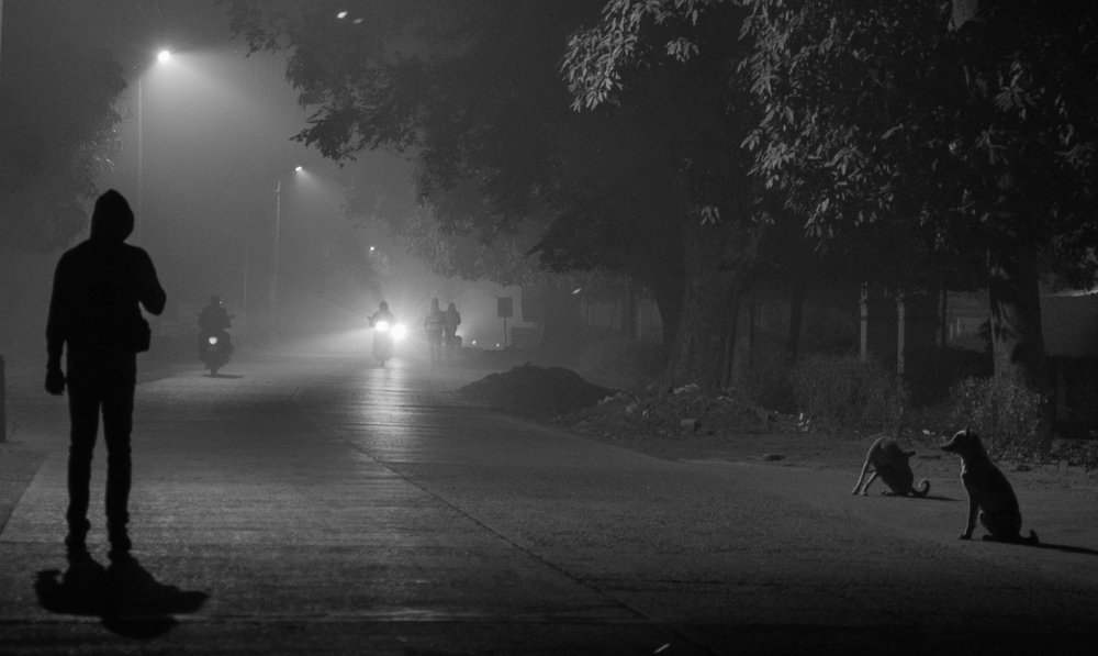 Photograph by Ritikkeshri