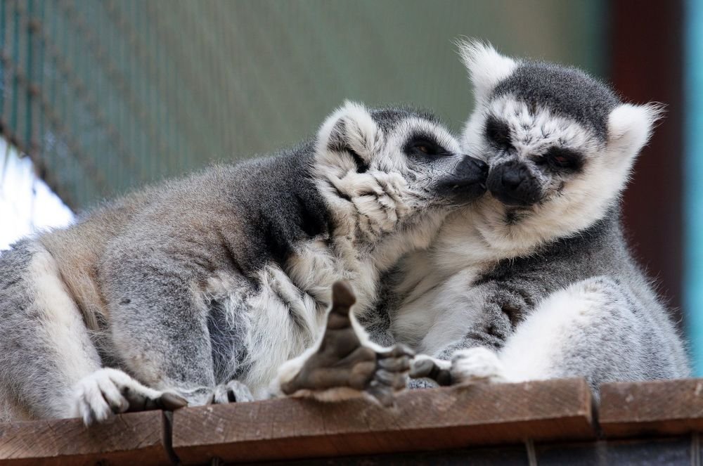 Photograph by Andrey Kondrov