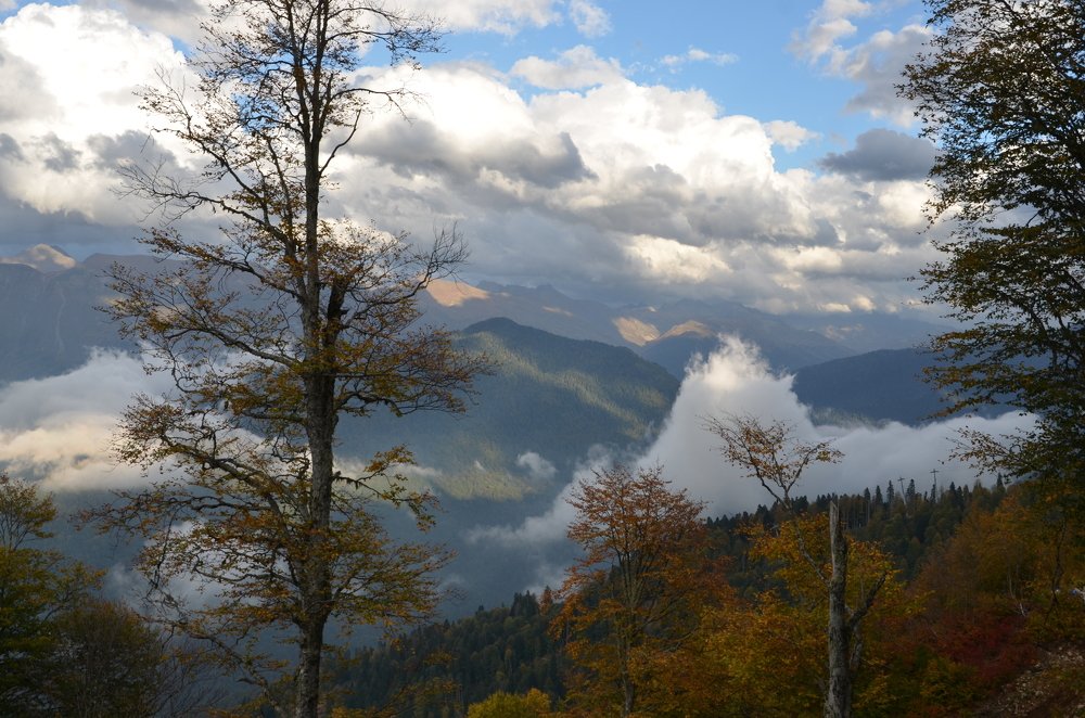 Облако мечтаюшее стать Горой...