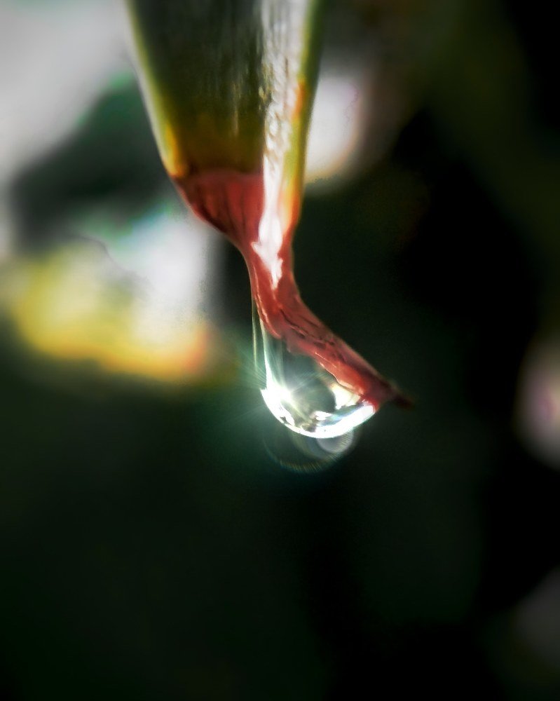 Photograph by Tarek El Magrabe