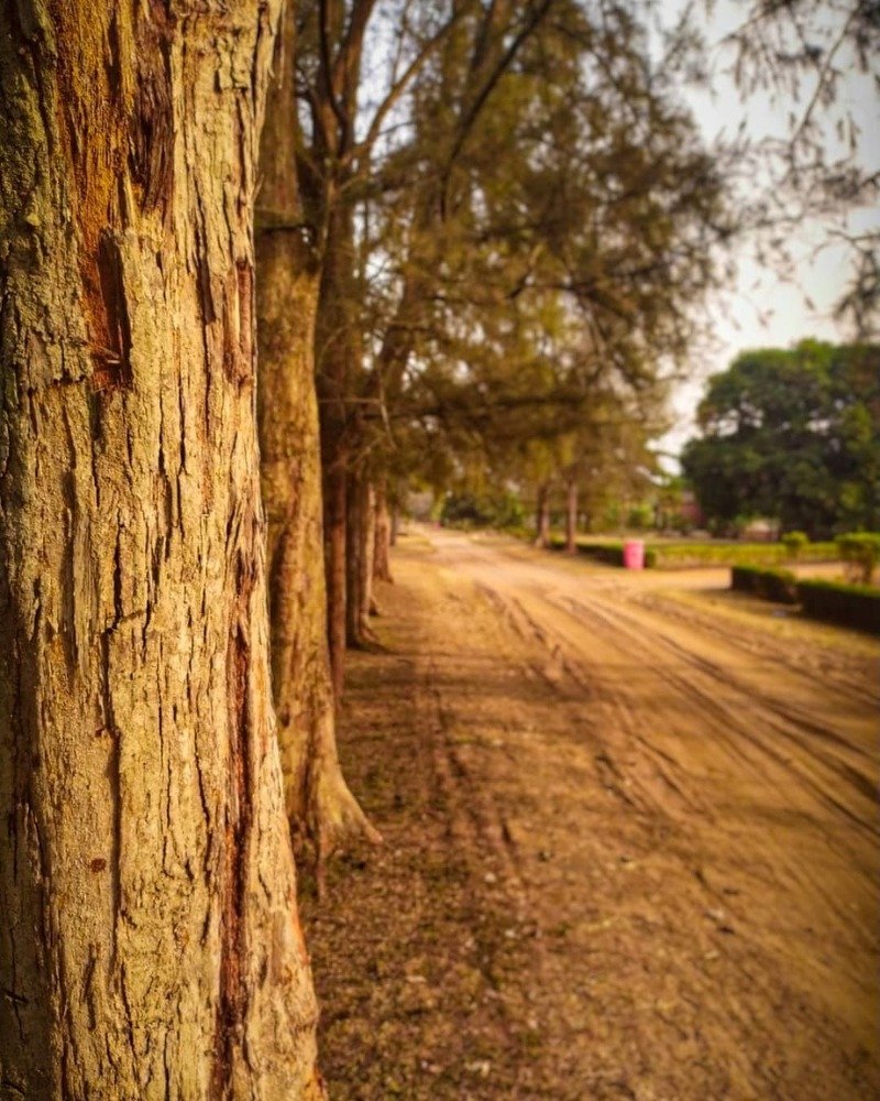 Photograph by Chidumebi Chukwuogor