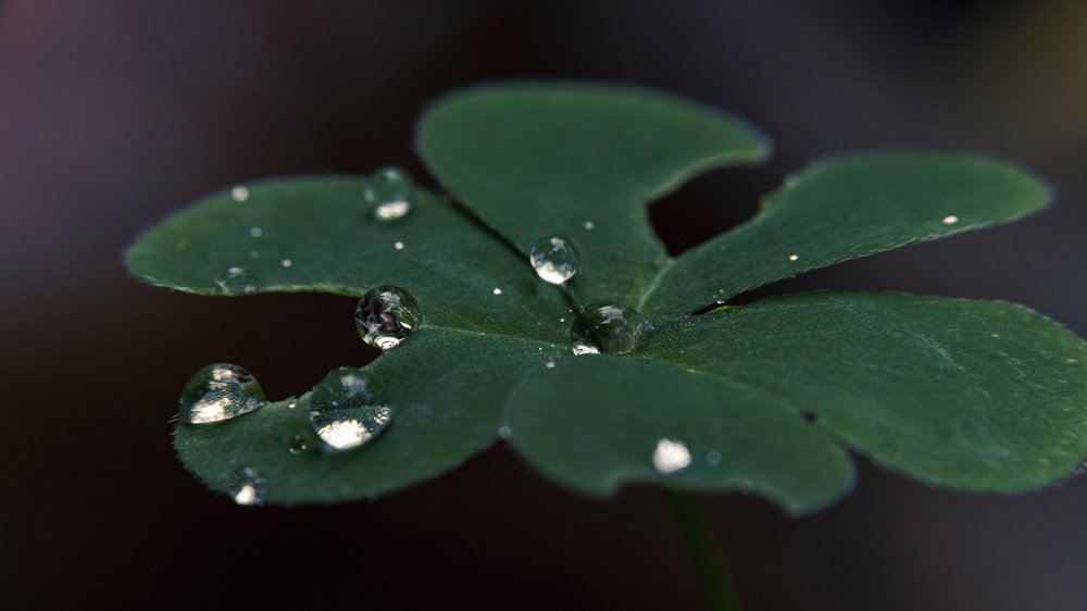 Photograph by Kaan Keskin