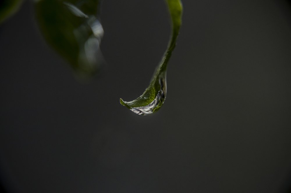 Photograph by Kaan Keskin