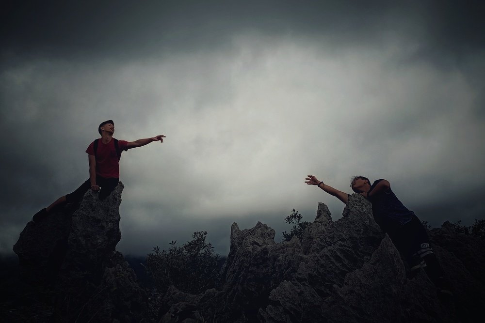 Photo #4168639