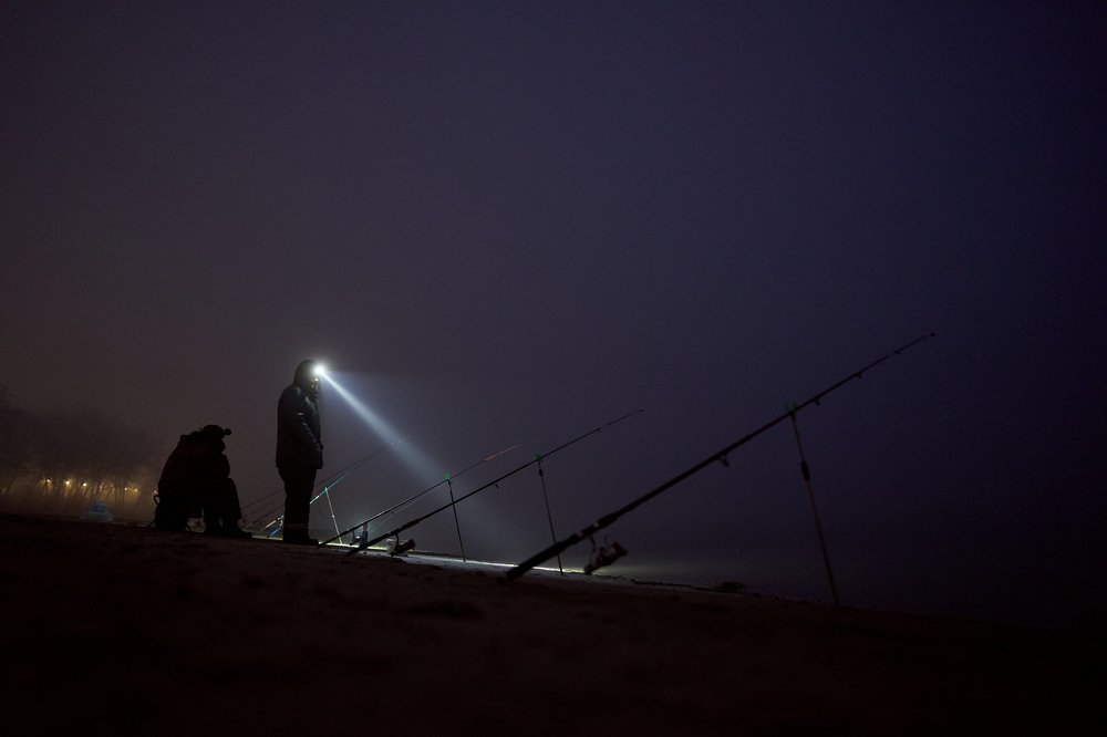 Photograph by Дмитрий Янковский