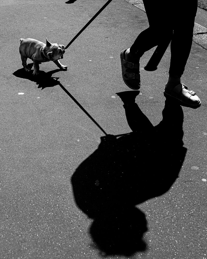 Photograph by Алексей Трифонов