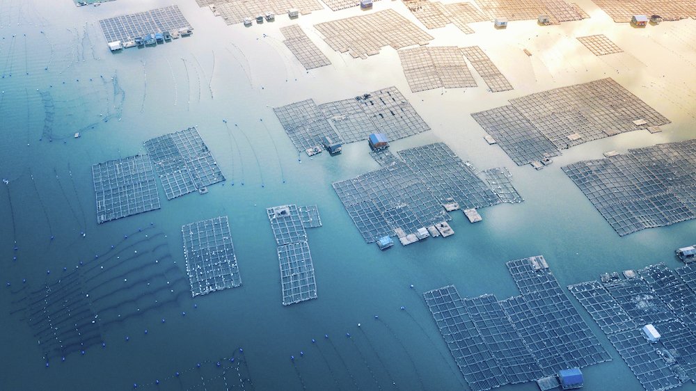 Photograph by GA Galing