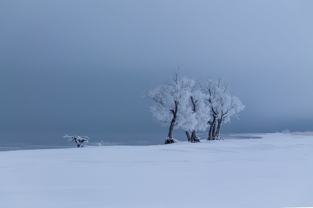 Photograph by Леонид Максименко