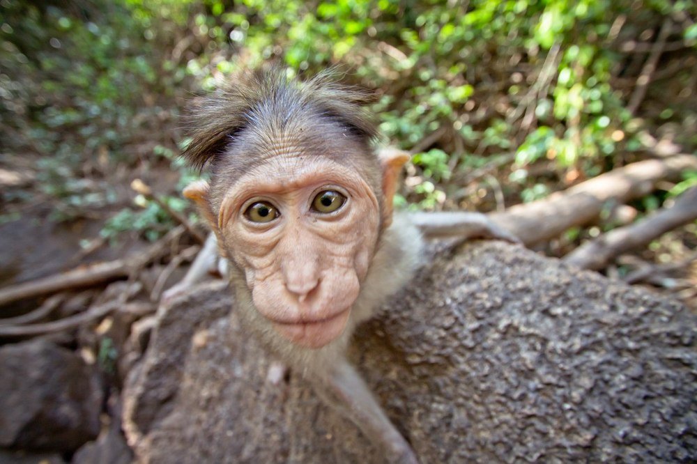 Photograph by Сергей Гарифуллин