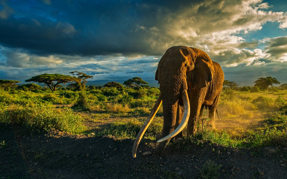 Photograph by Anantha Murthy