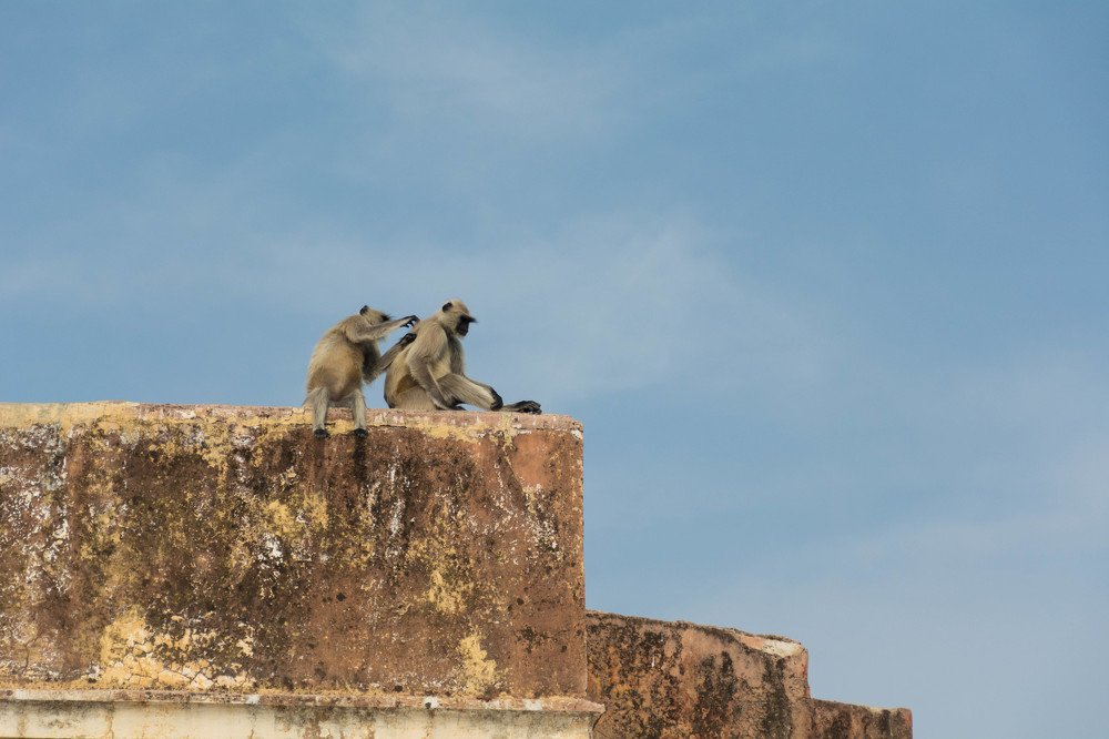 Photograph by Shobhit Dwivedi