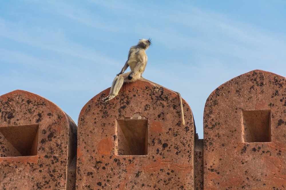 Photograph by Shobhit Dwivedi