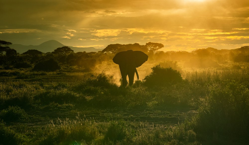 Photograph by Anantha Murthy