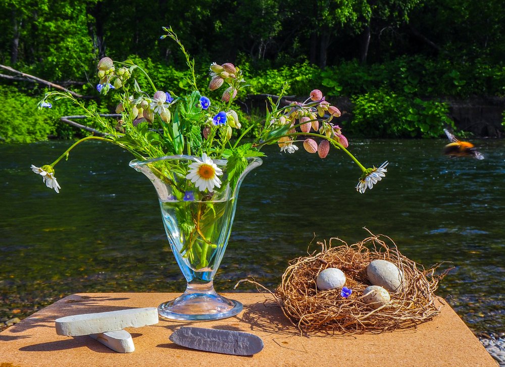 Фотография автора Olena Vorotyntseva