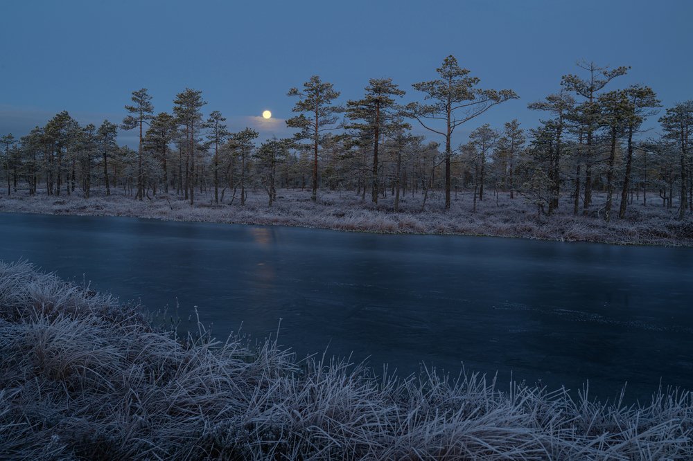 Photograph by Олег Иваницкий