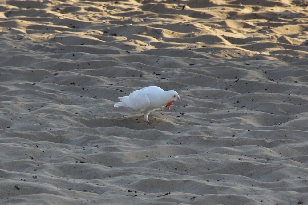 Photograph by Ольга Кузнецова