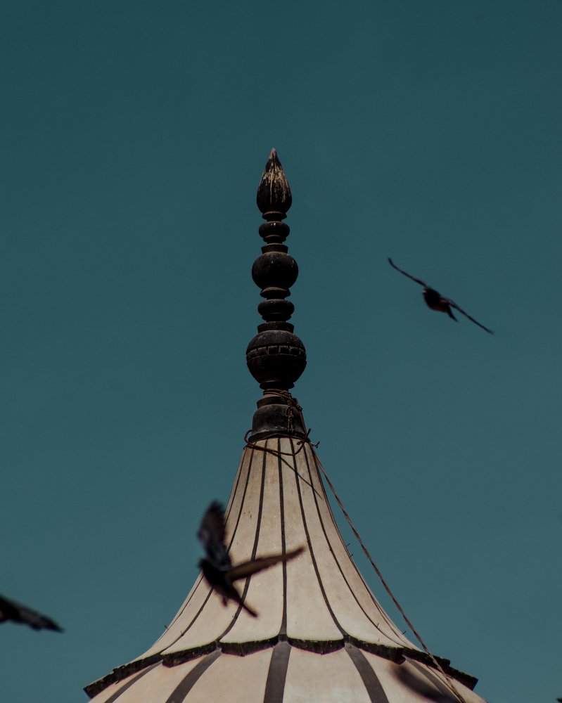 Photograph by Shariyar Ali