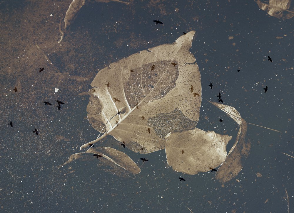 Фотография автора Владислава Андрюнина