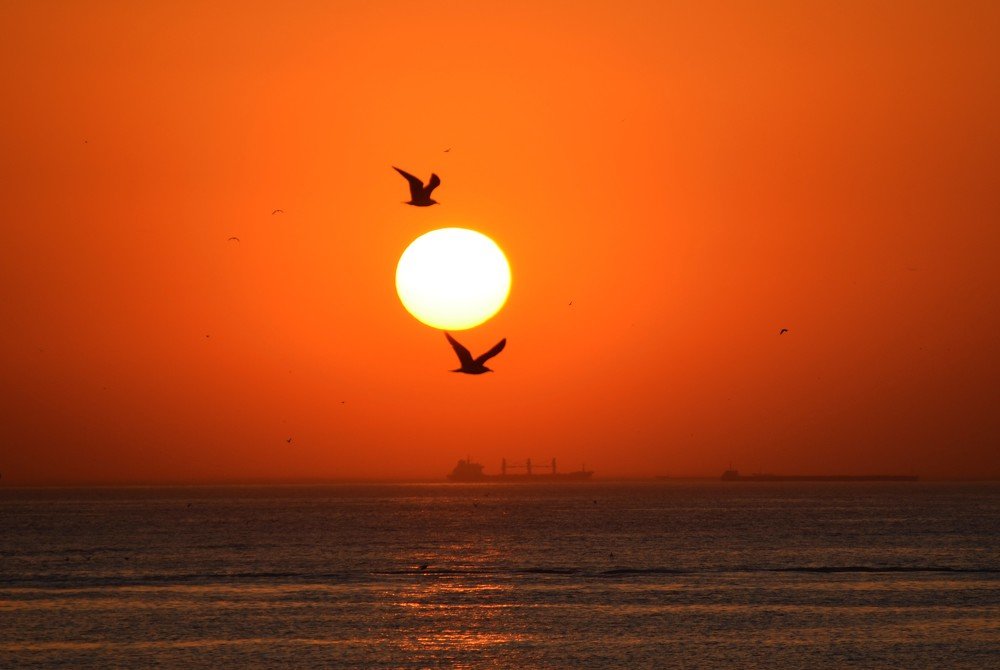 Photograph by Sevgi Duyar