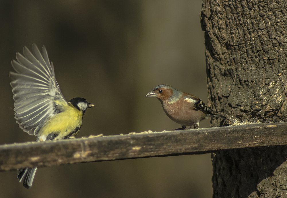 "А ты,как думал?!"
