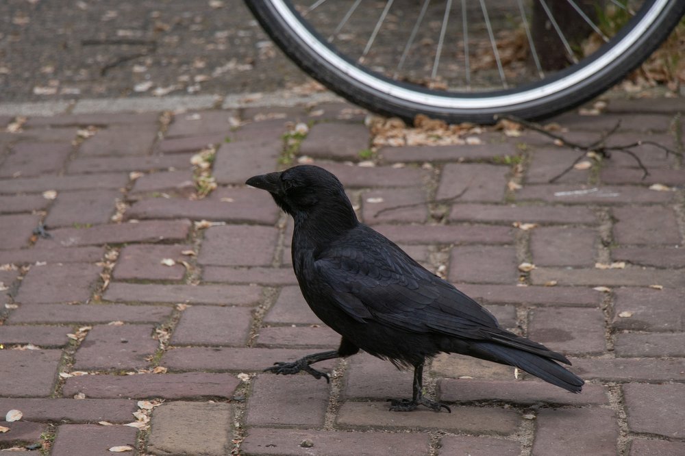 Photograph by Evgeniia Iakimenko