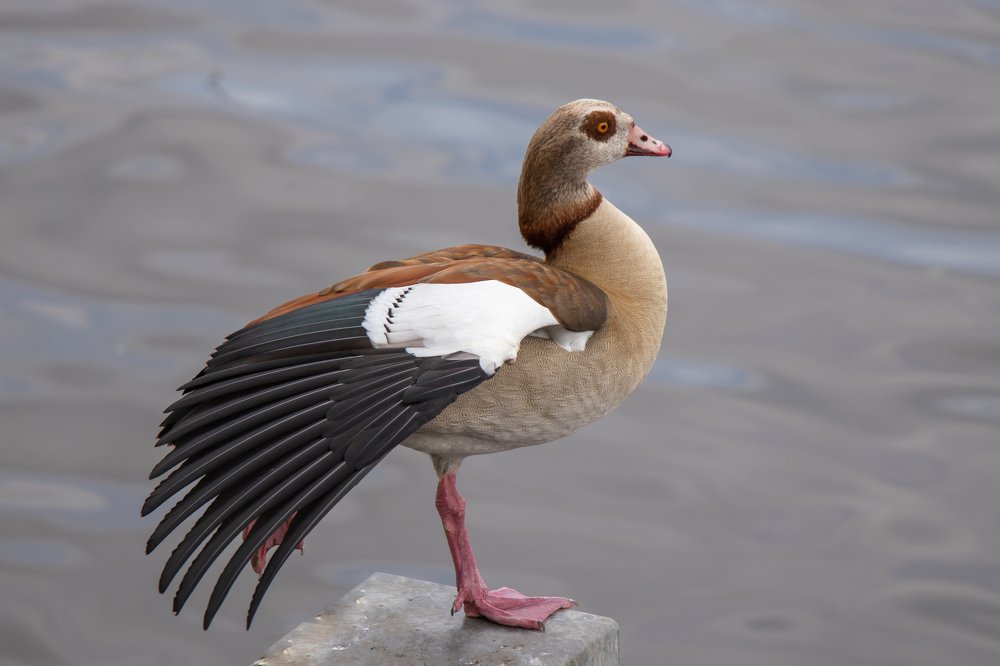 Photograph by Evgeniia Iakimenko