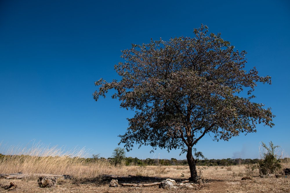 Photograph by Hudson Chirwa