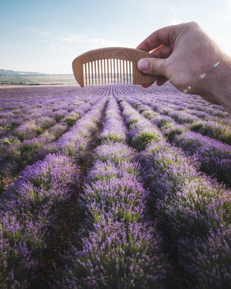 Photograph by Скалин Алексей