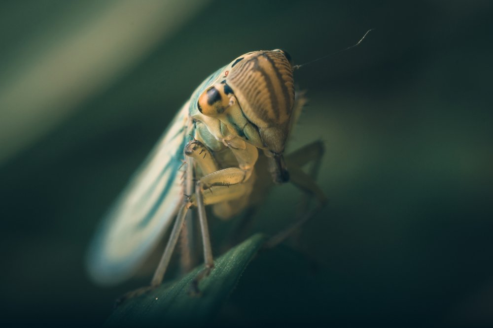 Photograph by Александр Рындин