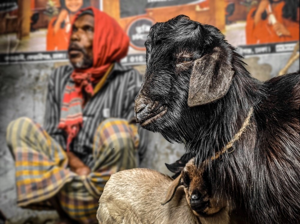 Photograph by Asif Rahman