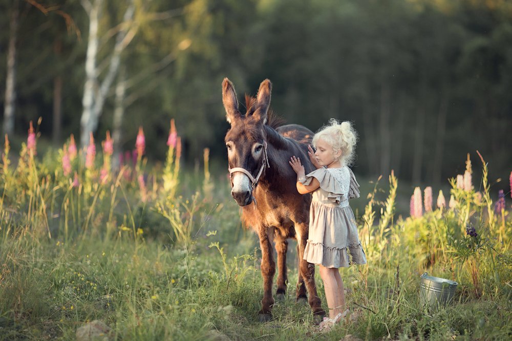 Фотография автора Ольга Шустер