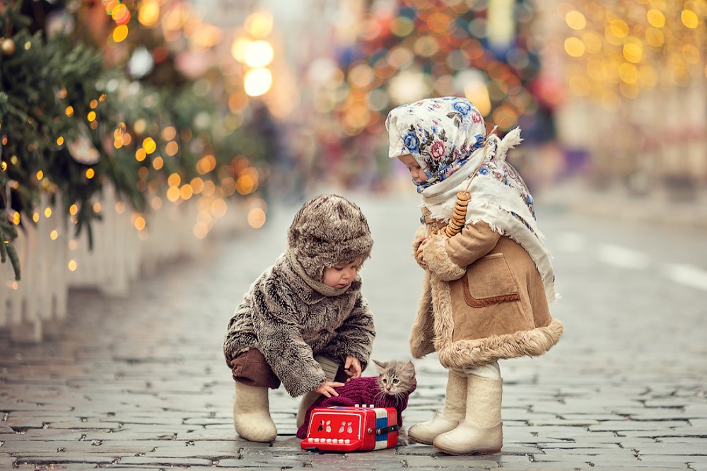 Фотография автора Ольга Шустер