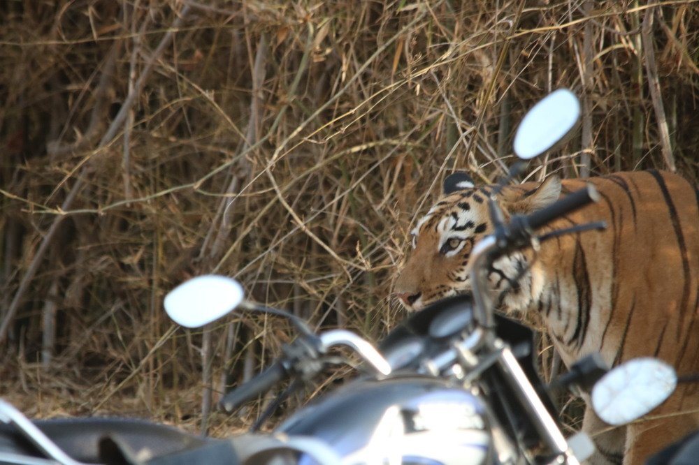 Photograph by bhaskar burman