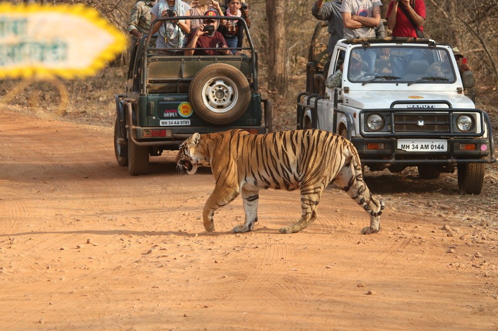 Photograph by bhaskar burman