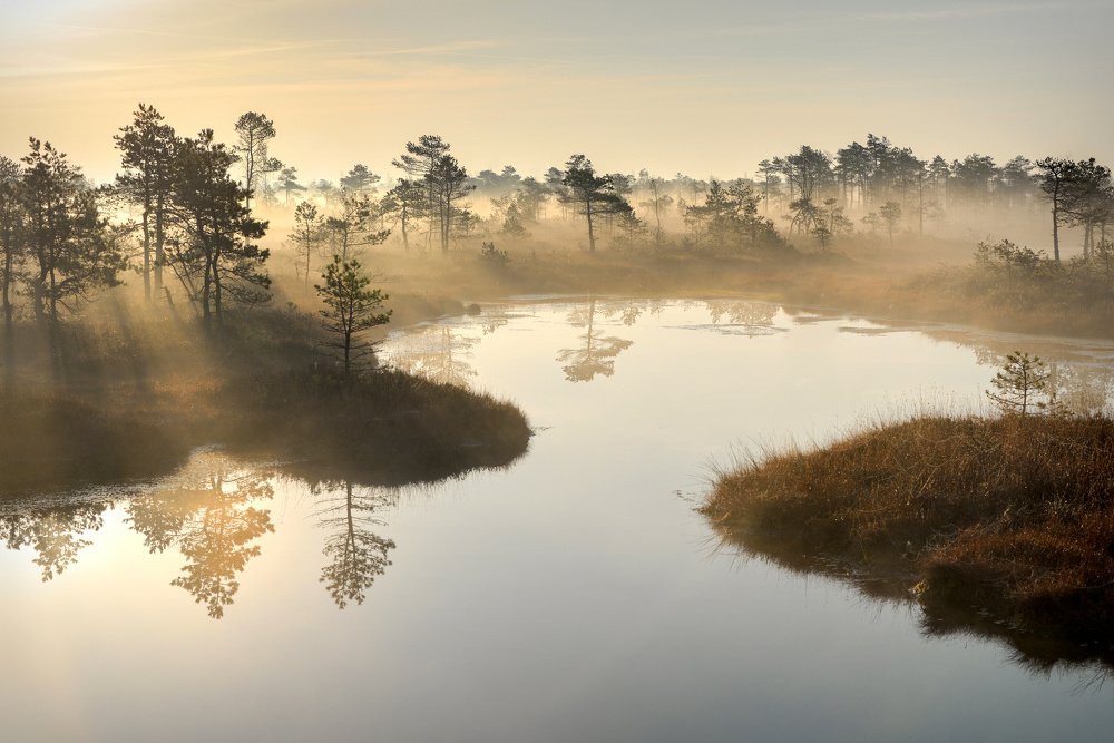 Прикосновение тишины